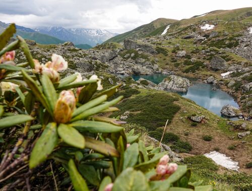 Wandern in Georgien