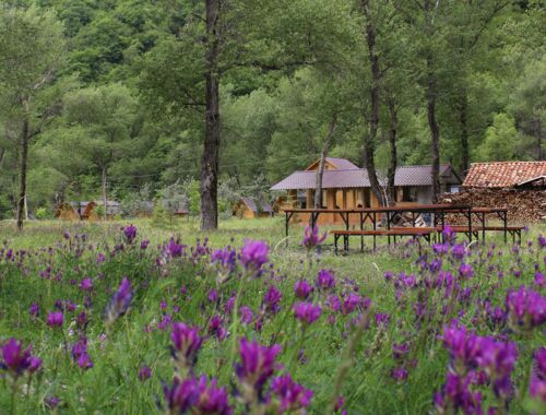 Aragvi Adventure Center