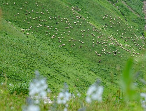 Wandern in Georgien