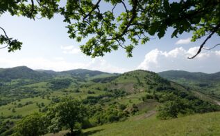 Wandern im Algeti Nationalpark