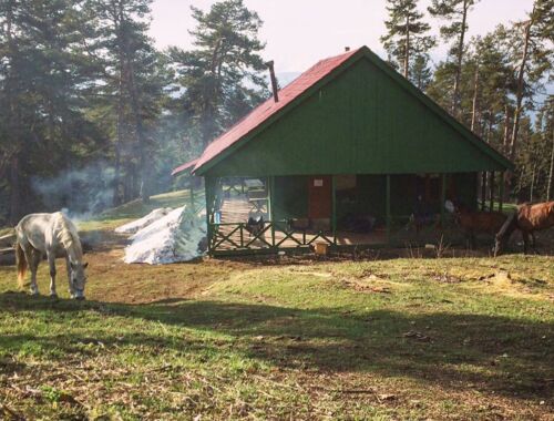 Schutzhütte Bordschomi-Charagauli Nationalpark