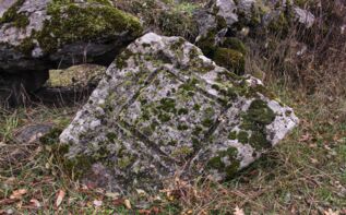 Petroglyphen Niederkartlien Georgien